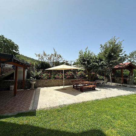 Apartmani Stanisic Čanj Exteriér fotografie
